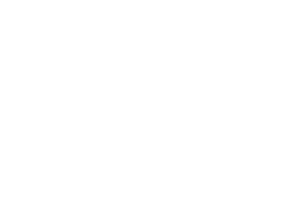 light logo